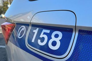 Mladíci z Litoměřic zavřeli kočku v sušičce a její boj o život si natáčeli - Novinky